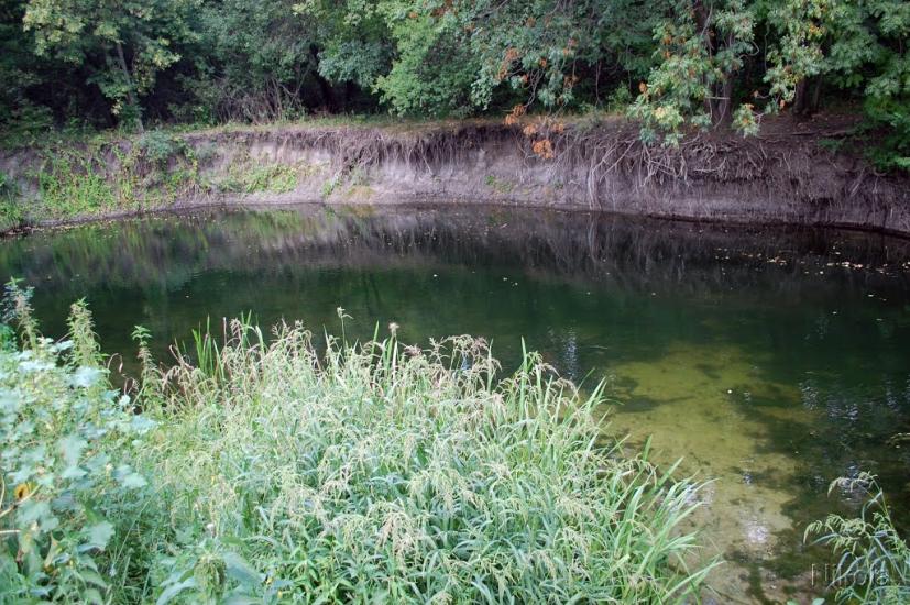 Бахмутівка з panoramio.com - Бахмутовка