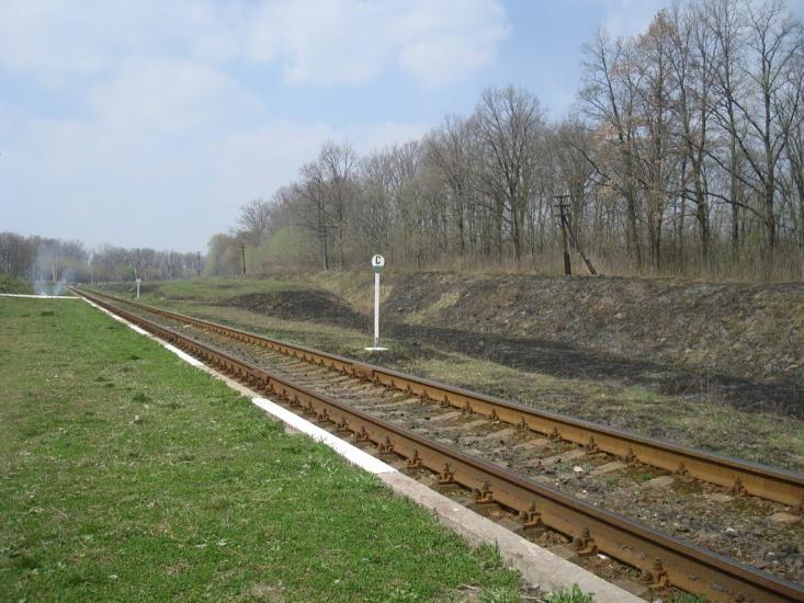 Лісова Волиця з panoramio.com - Лесовая Волица