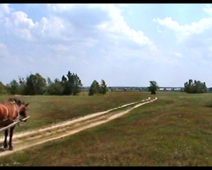 Сошники з panoramio.com - Сошники
