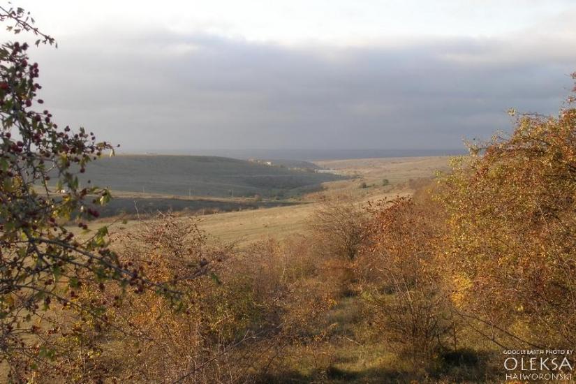 Рєпіне з panoramio.com - Рєпіне