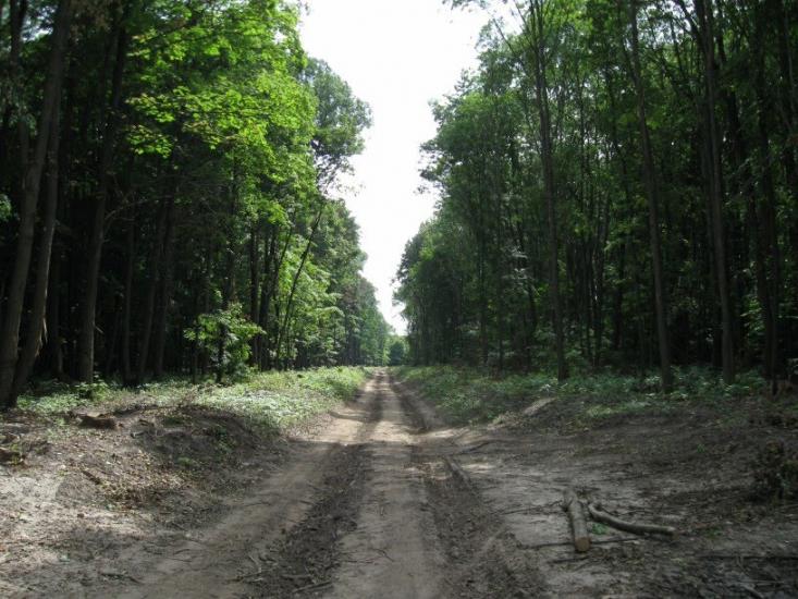 Кияниця з panoramio.com - Кияница