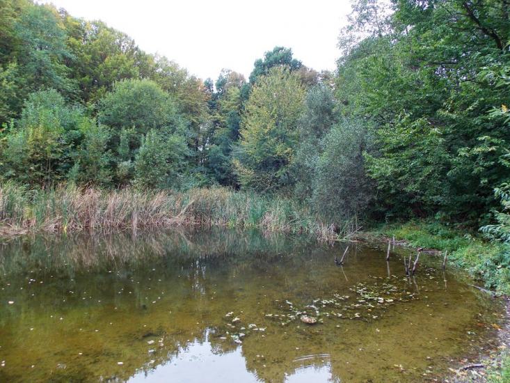 Кисляк з panoramio.com - Кисляк