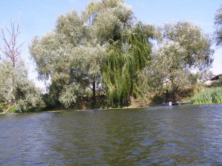 Крейдянка з panoramio.com - Крейдянка