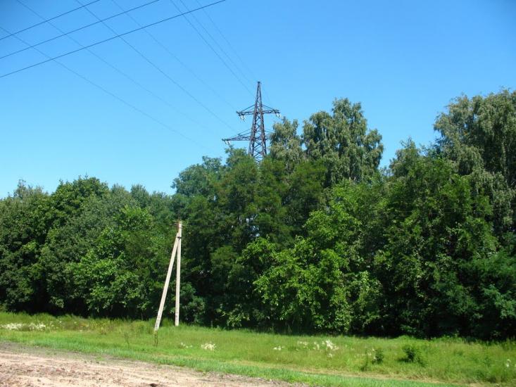 Селичівка з panoramio.com - Селичівка