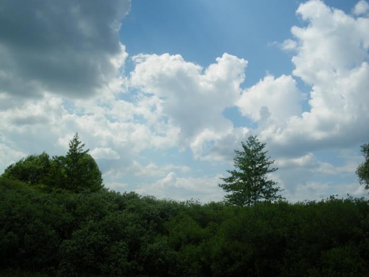 Ярова з panoramio.com - Ярова