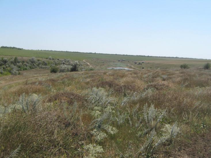 Будячки з panoramio.com - Будячки