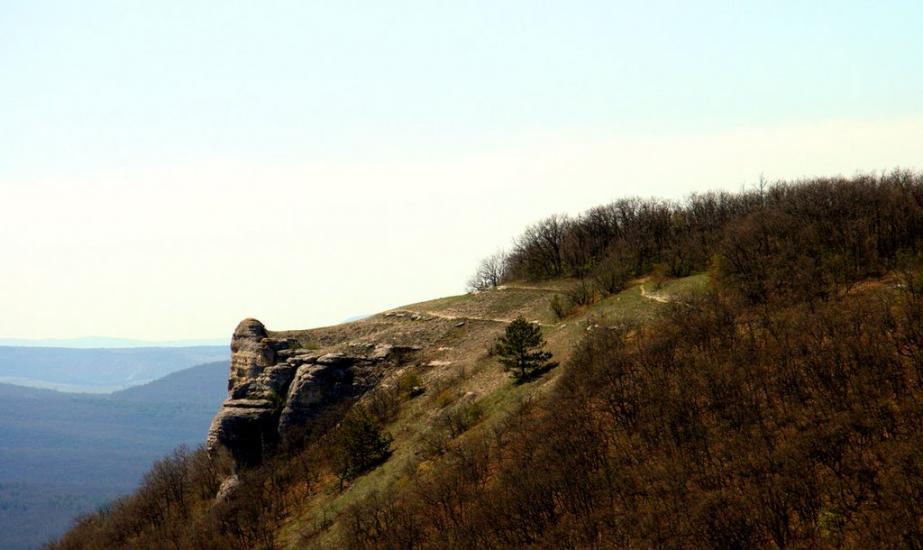 Каштанове з panoramio.com - Каштановое