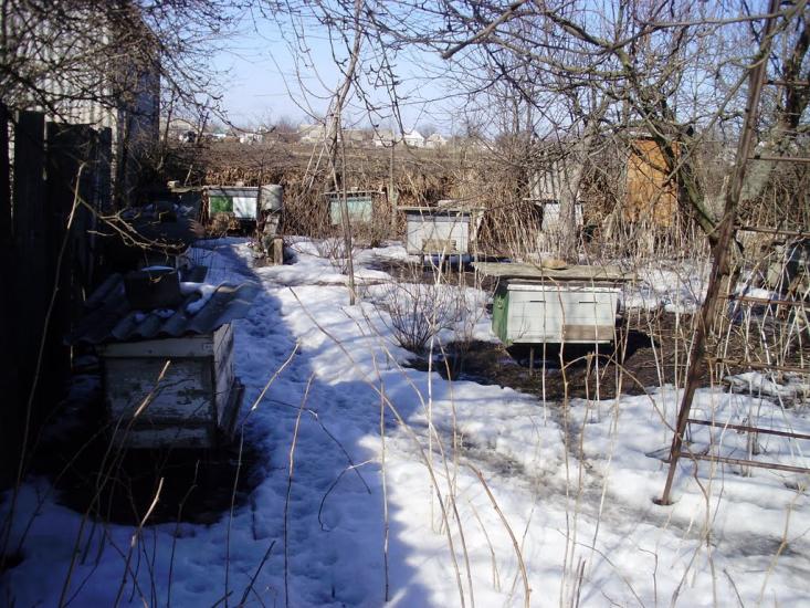 Котовка з panoramio.com - Котовка