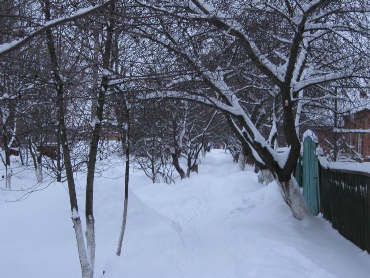 Оріхів з panoramio.com - Орехов