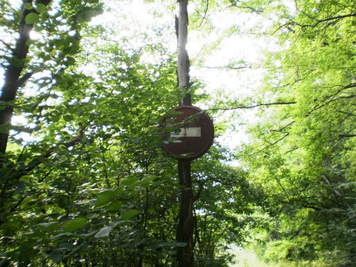 Руські Тишки з panoramio.com - Руські Тишки