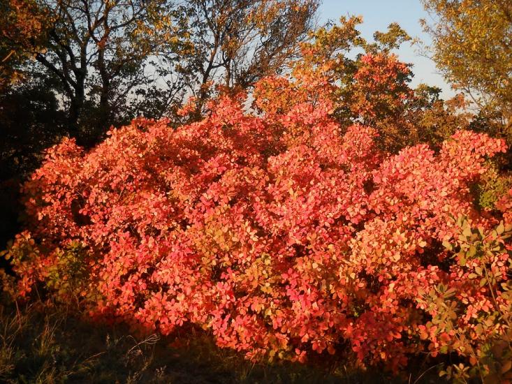 Левадки з panoramio.com - Levadky