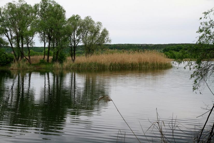 Печеніги з panoramio.com - Печениги
