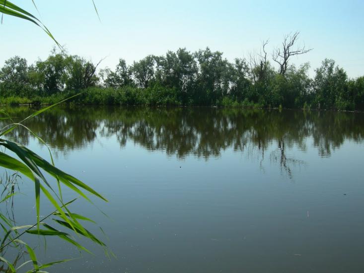 Пересадівка з panoramio.com - Пересадівка