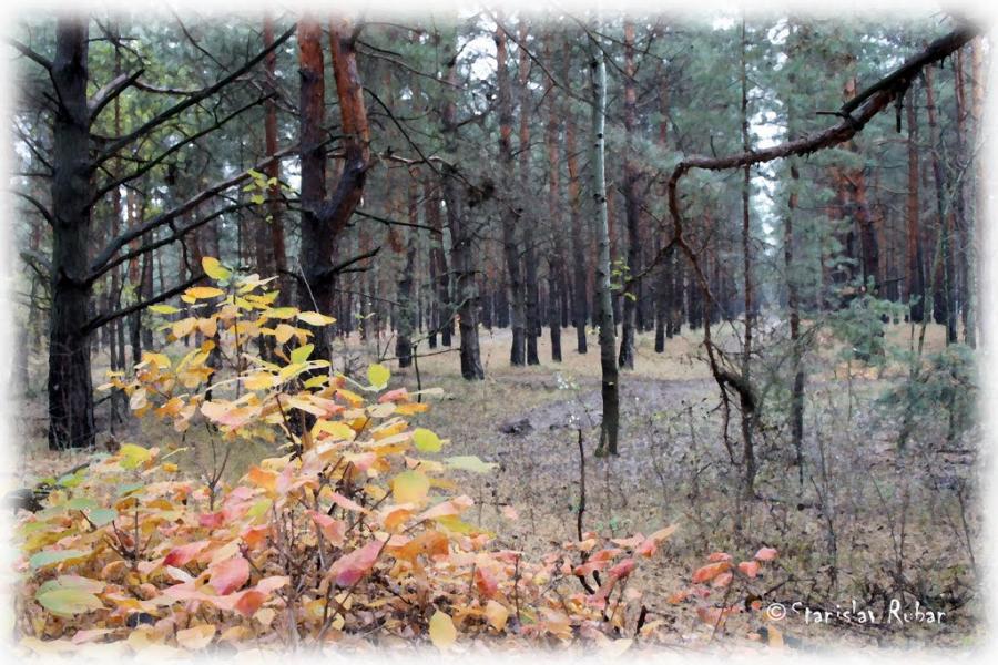 Горянівське з panoramio.com - Горяновское