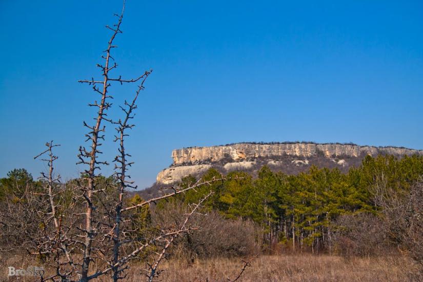 Прохладне з panoramio.com - Прохладное