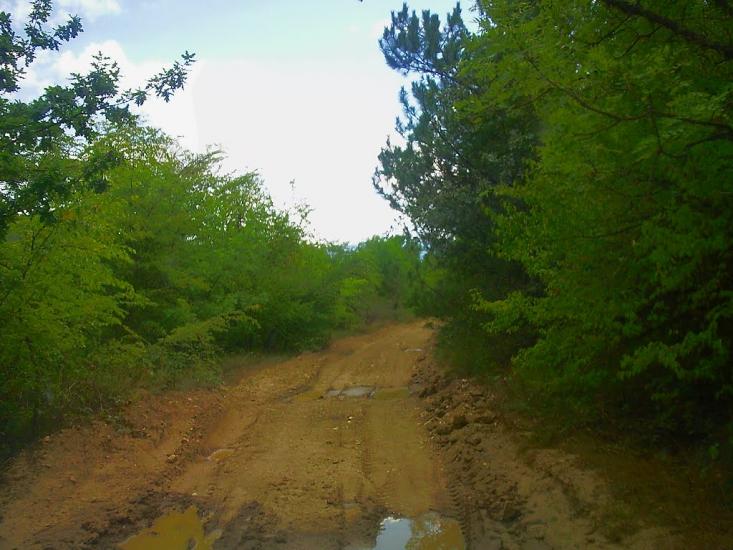 Щасливе з panoramio.com - Schaslyve