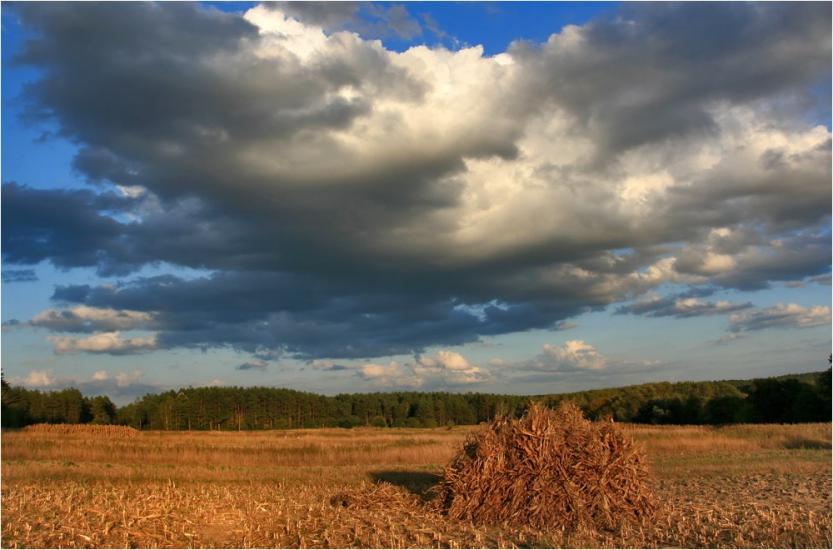 Бистрі з panoramio.com - Быстри