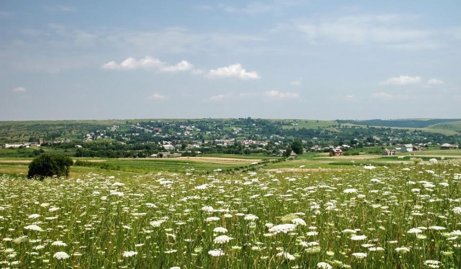 Стрільче з panoramio.com - Стрельче