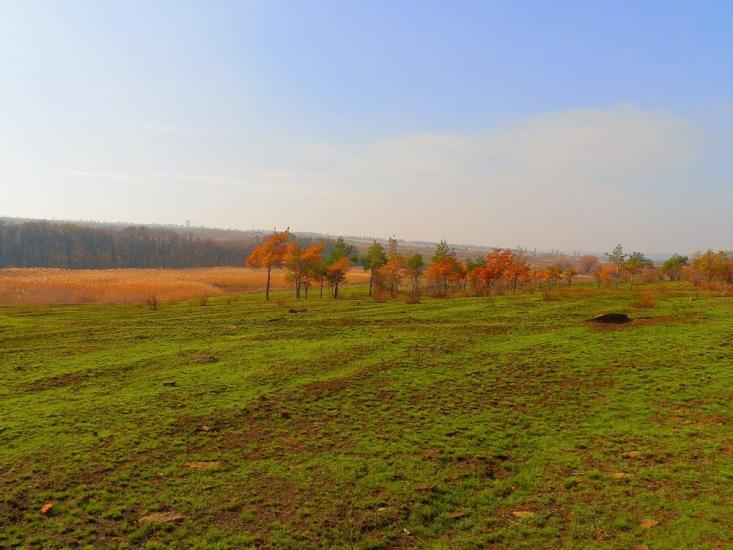 Нижня Кринка з panoramio.com - Nyzhnya Krynka