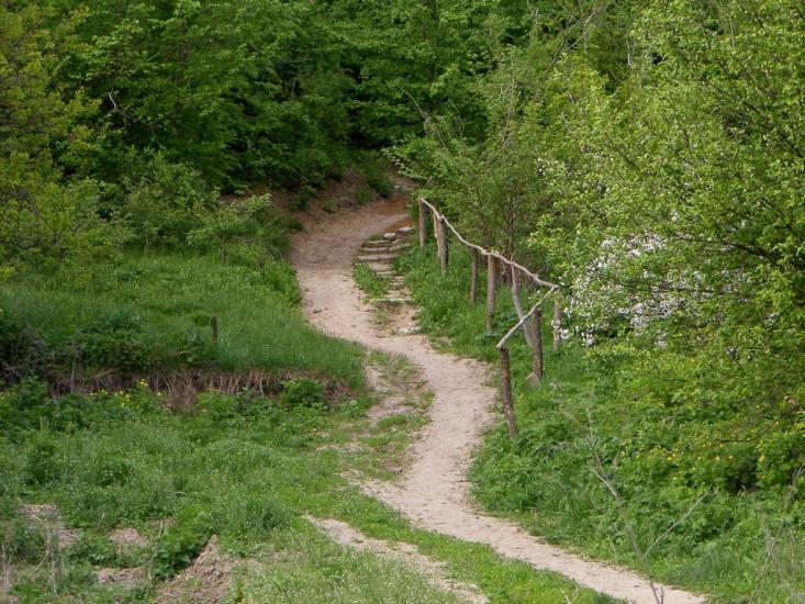Шишаки з panoramio.com - Shishaki