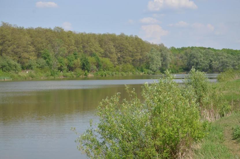 Болибоки з panoramio.com - Болибоки