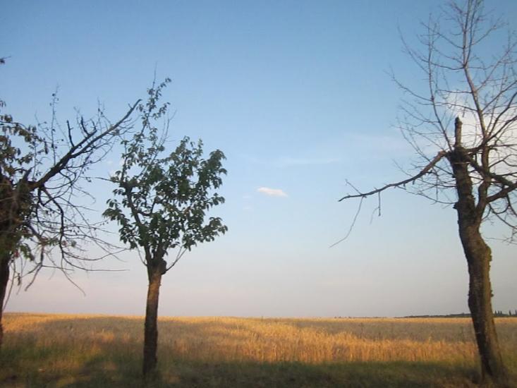 Бабин з panoramio.com - Бабин