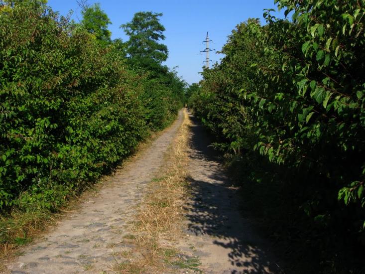 Андріївка з panoramio.com - Андріївка