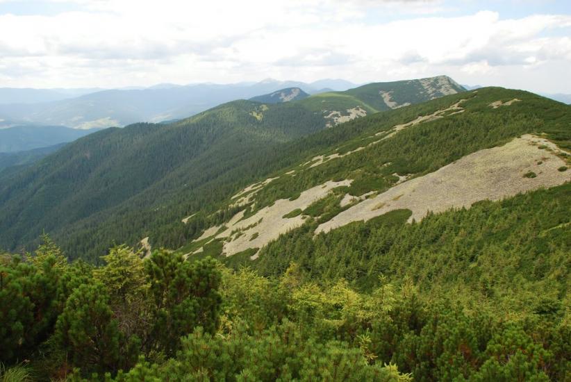 Черник з panoramio.com - Черник