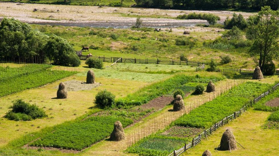 Репинне з panoramio.com - Repynne