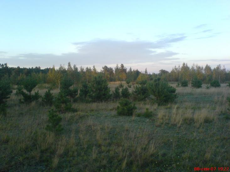 Нова Ушиця з panoramio.com - Новая Ушица