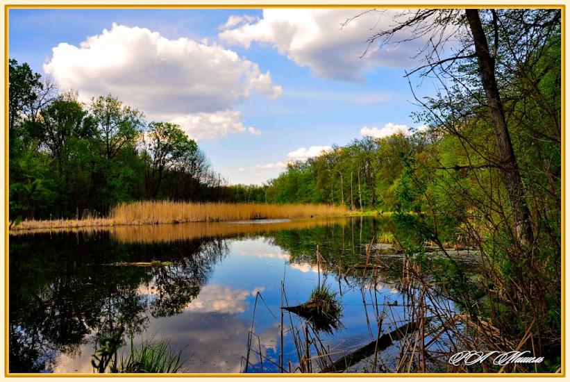 Дронівка з panoramio.com - Dronivka