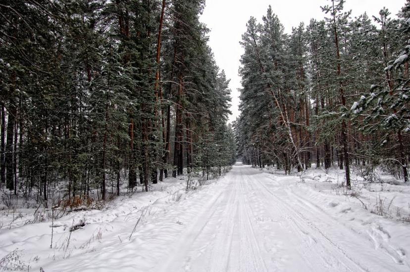 Богородичне з panoramio.com - Богородичное