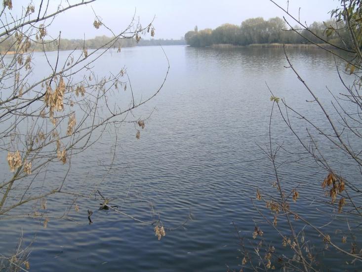 Буринь з panoramio.com - Буринь