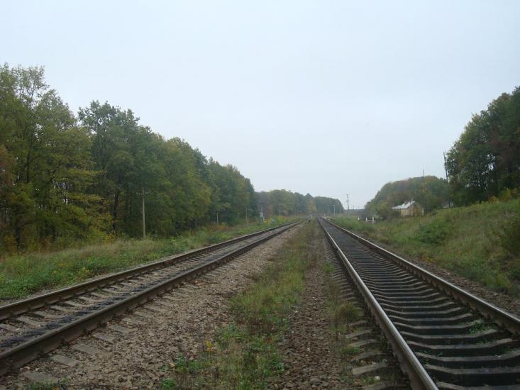 Малиничі з panoramio.com - Малиничи