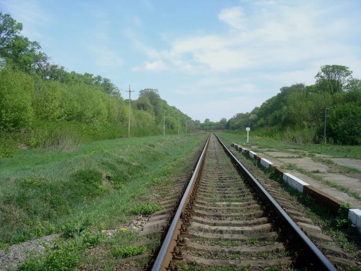 Старі Бейзими з panoramio.com - Старі Бейзими