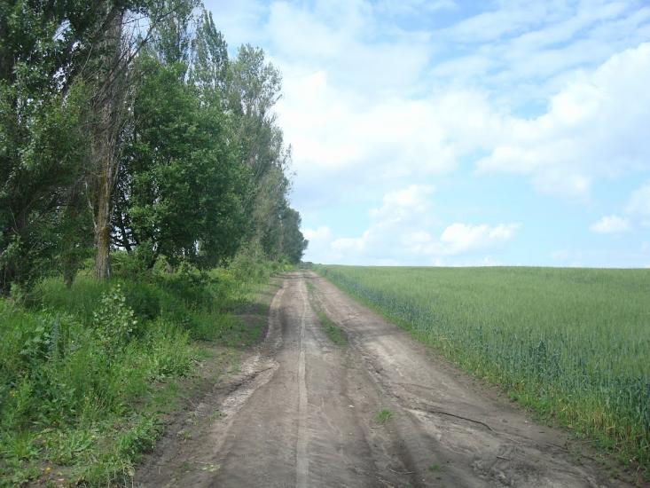 Давидківці з panoramio.com - Давыдковцы