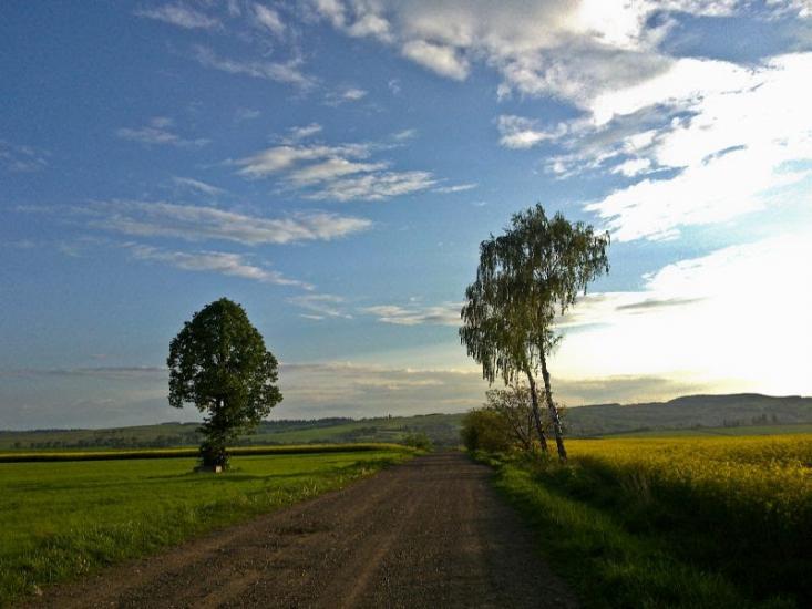 Михальча з panoramio.com - Mykhalcha