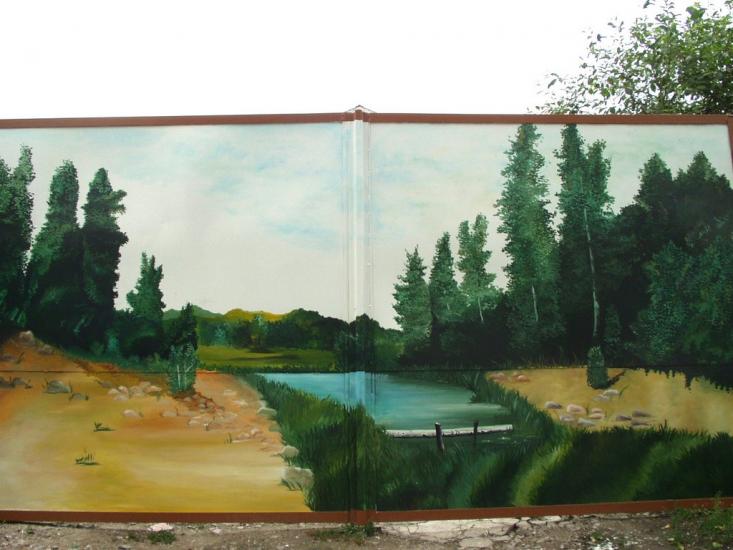 Богуслав з panoramio.com - Богуслав