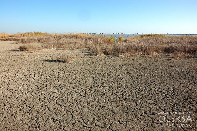 Молочне з panoramio.com - Молочне