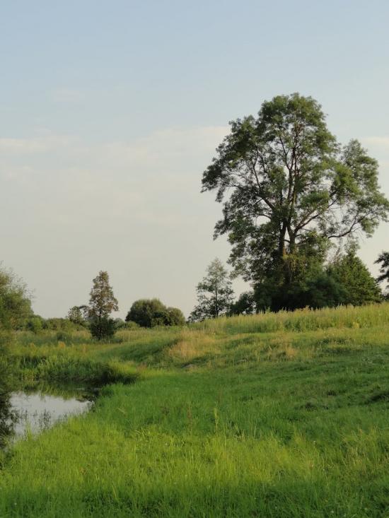 Бодячів з panoramio.com - Бодячев