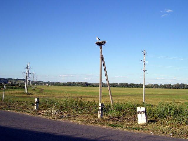 Сидорове з panoramio.com - Сидорове