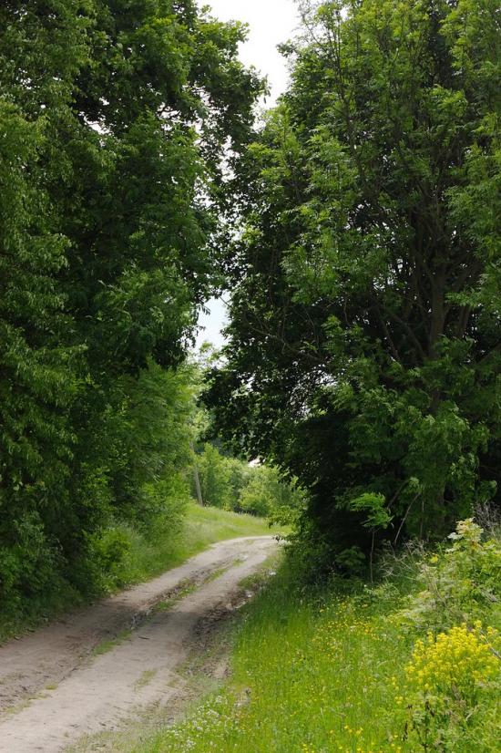 Ушня з panoramio.com - Ушня