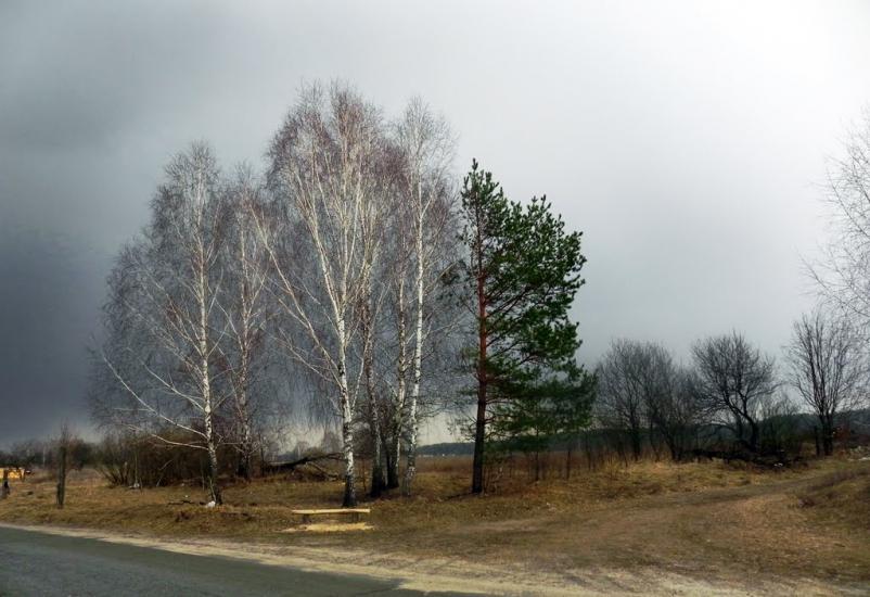 Мекшунівка з panoramio.com - Мекшунівка