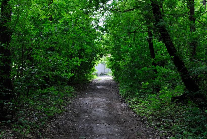 Капітанівка з panoramio.com - Капитановка