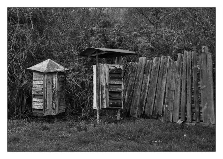Сидорове з panoramio.com - Сидорове