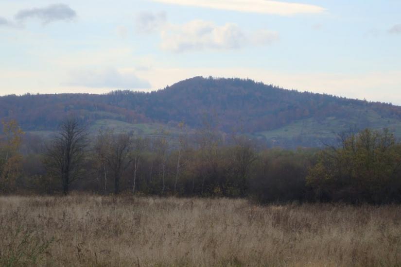 Ценява з panoramio.com - Ценява