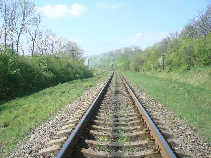 Велика Медведівка з panoramio.com - Велика Медведівка