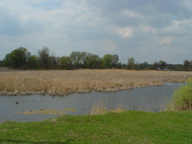 Ярешки з panoramio.com - Ярешки