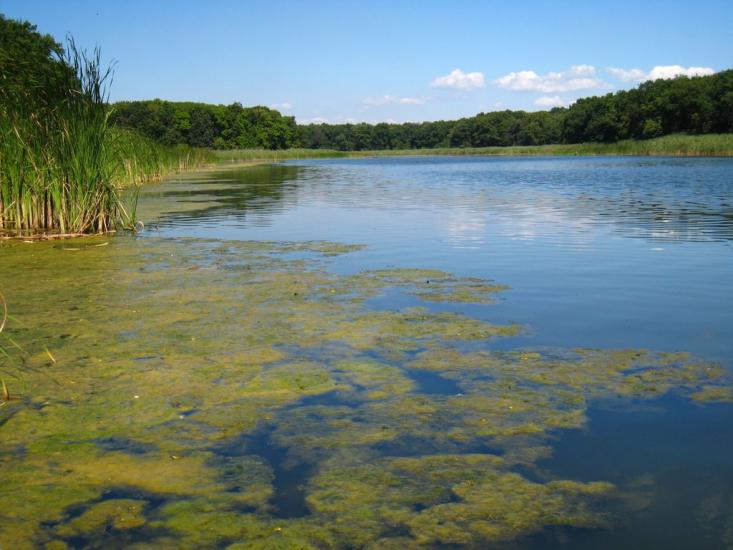 Нижнє з panoramio.com - Nyzhnye