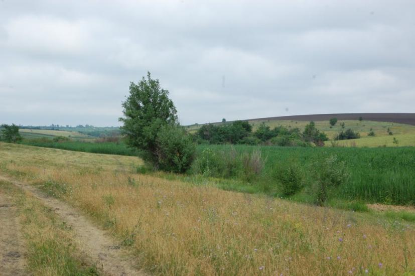 Маринівка з panoramio.com - Marynivka